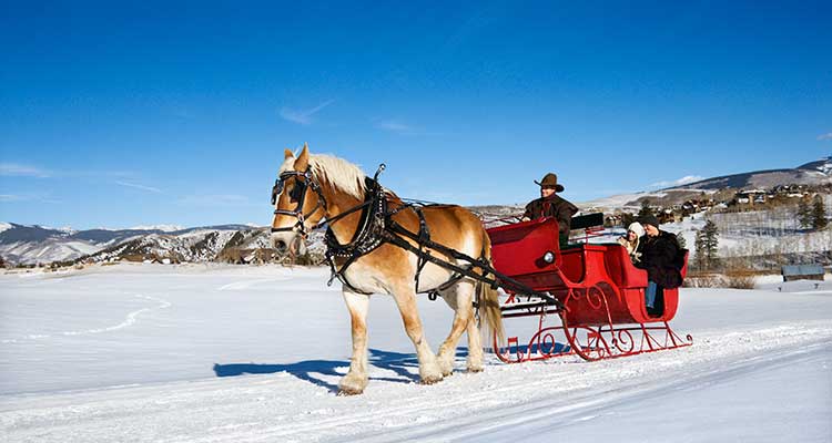 Scouple enjoying winter sleigh ride